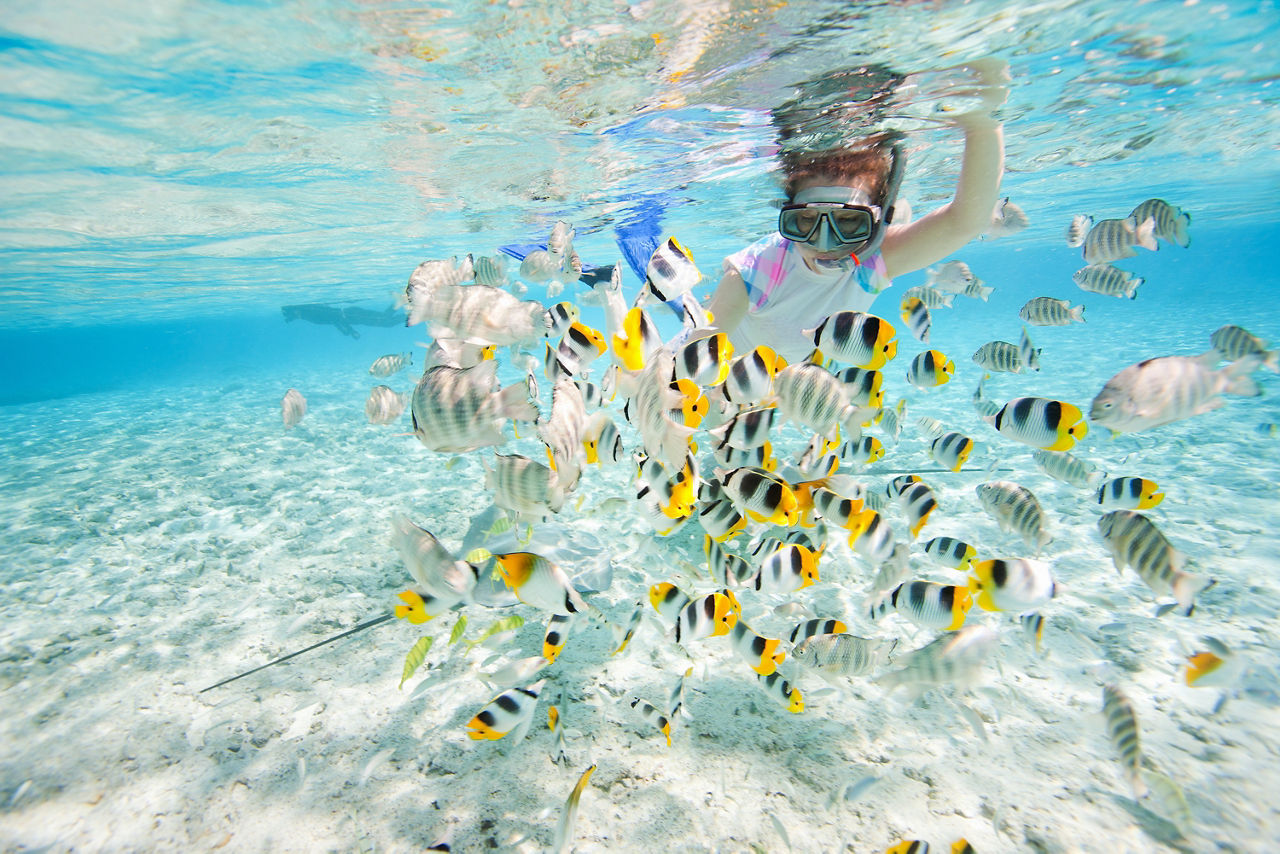 snorkel tiles15
