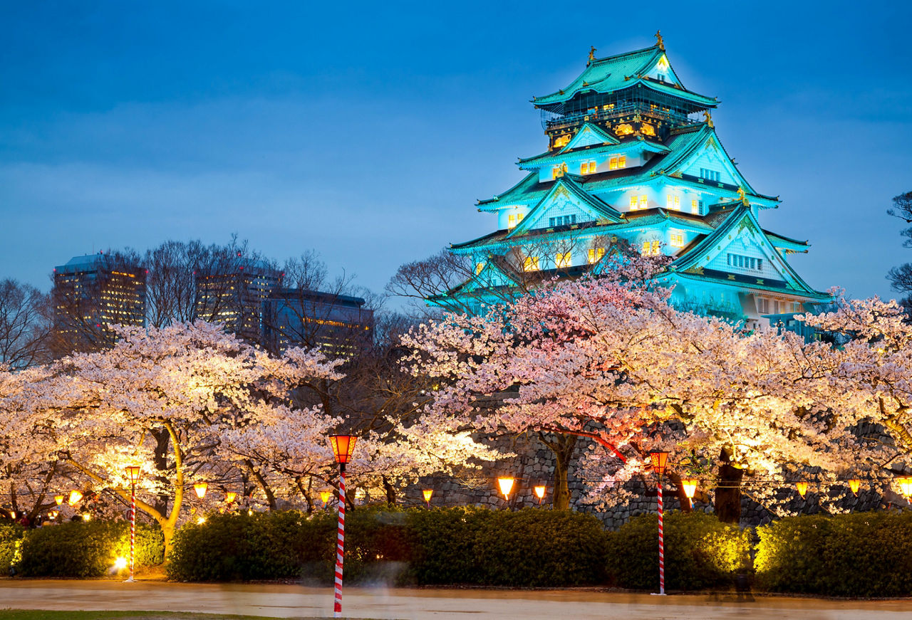 Osaka castle in cherry blossom season, Osaka, Japan