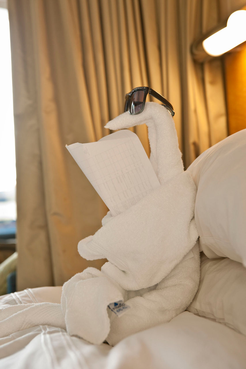 Towel Animal in the Stateroom 