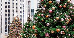 Christmas Tree in Rockefeller Center New York USA