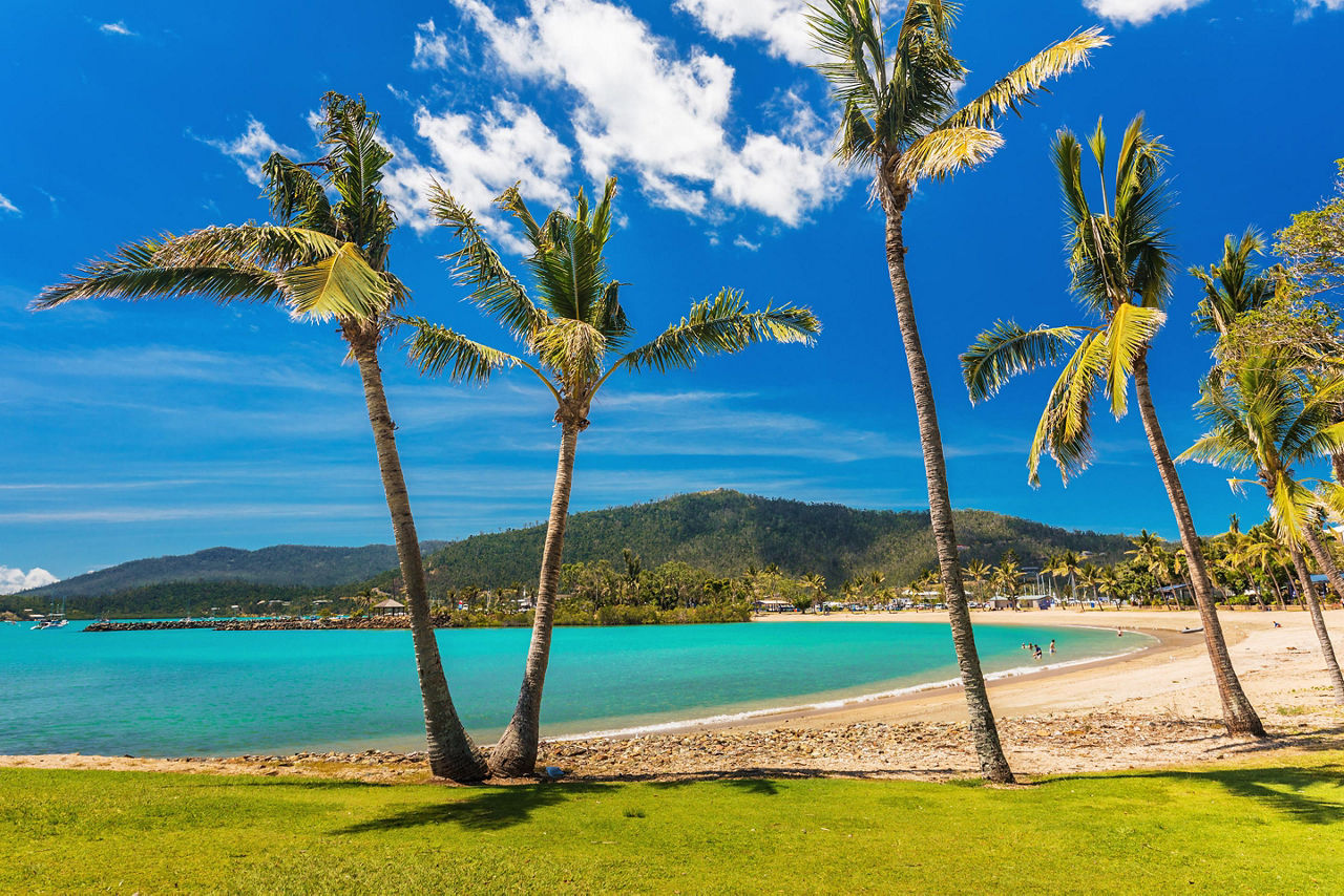Airlie Beach, Queensland, Australia, Sandy beach with palm trees