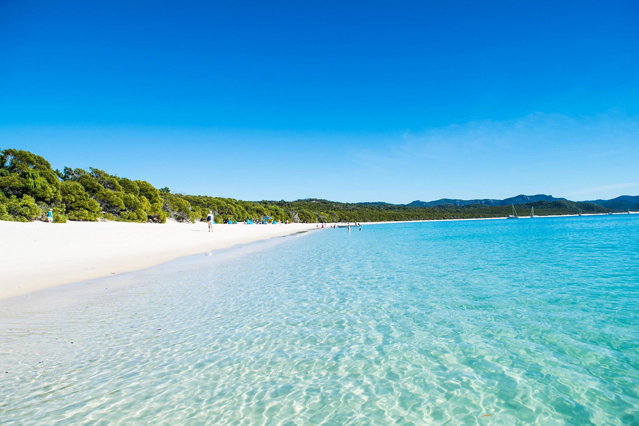 Whitehaven beach during a sunny, clear day in Australia