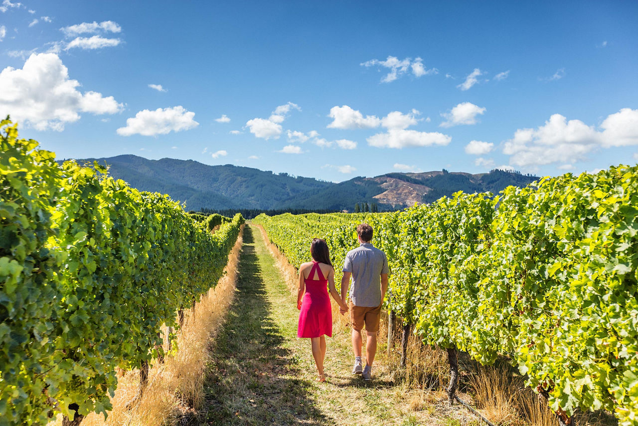 A couple on an organic wine takamutua tasting in the vineyards of New Zealand
