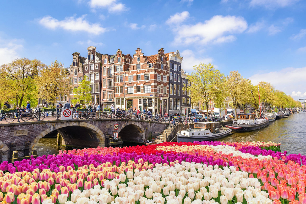 Amsterdam Netherlands City Tulips