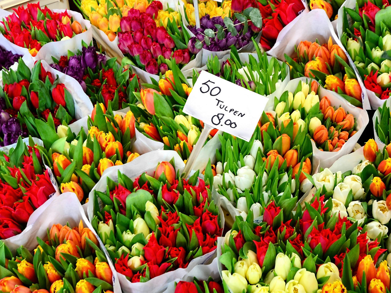 Tulips for sale at a flower market in Amsterdam, Netherlands