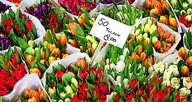 Tulips for sale at a flower market in Amsterdam, Netherlands