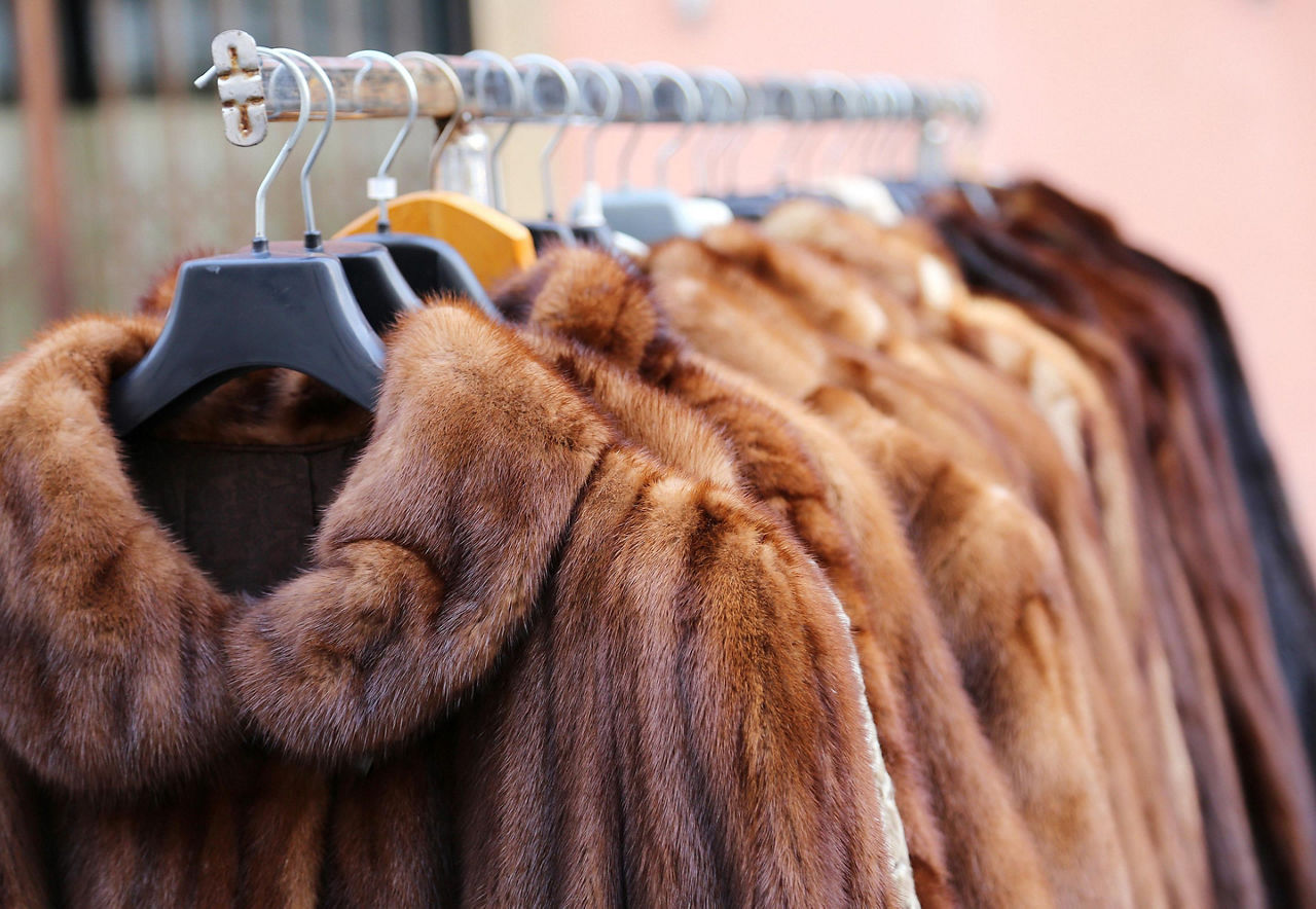 A rack with fur coats at a store