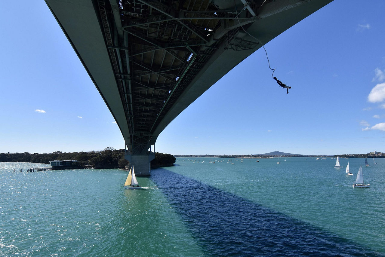 A person bungy jumping from the Harbour Bridge