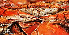 Blue Crab with Old Bay Seasoning, Maryland, Baltimore