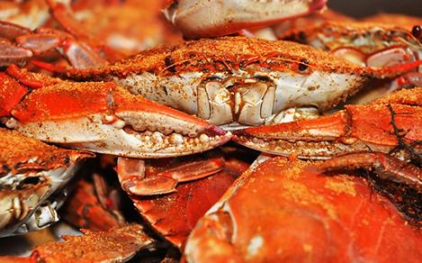 Blue Crab with Old Bay Seasoning, Maryland, Baltimore