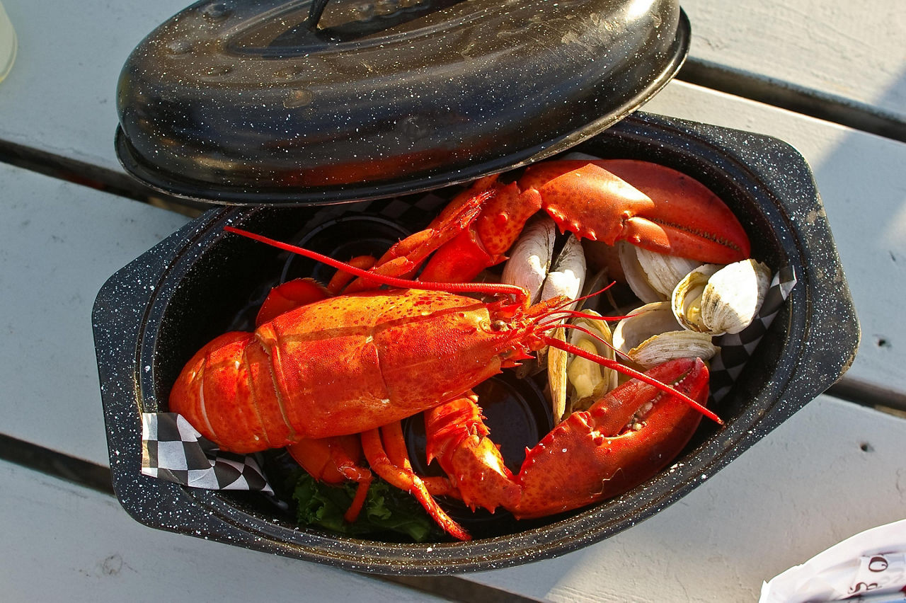 A Maine lobster dinner platter
