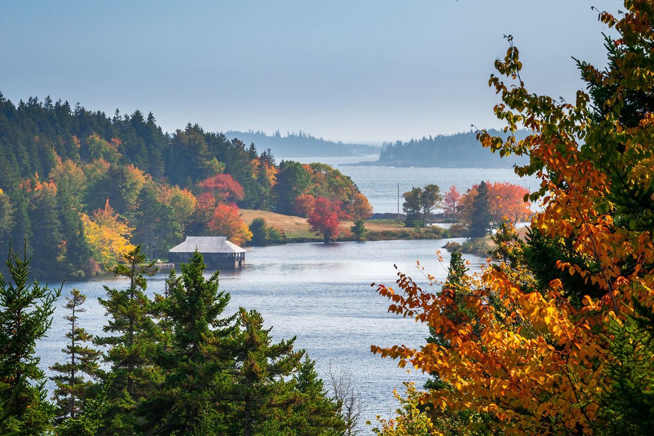 Maine Bar Harbor Acadia Park Fall Leaves Lake
