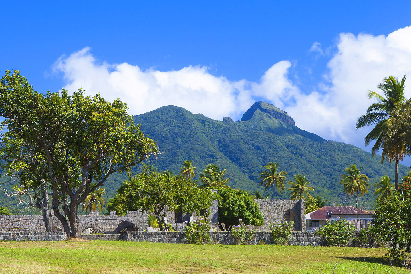 Historic St. Kitts sugarcane plantation. - Basseterre, St Kitts & Nevis