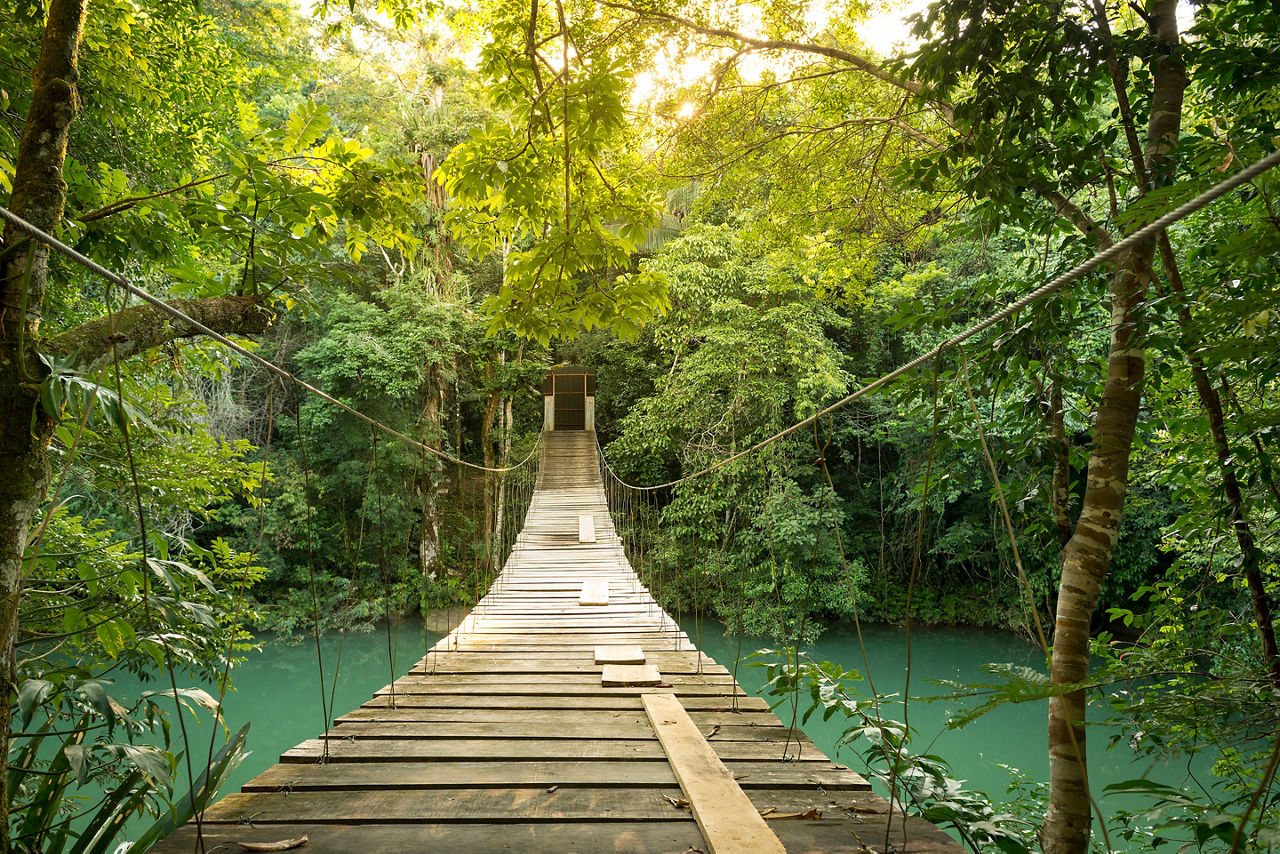 Footbridge over river in tranquil forest. Belize.