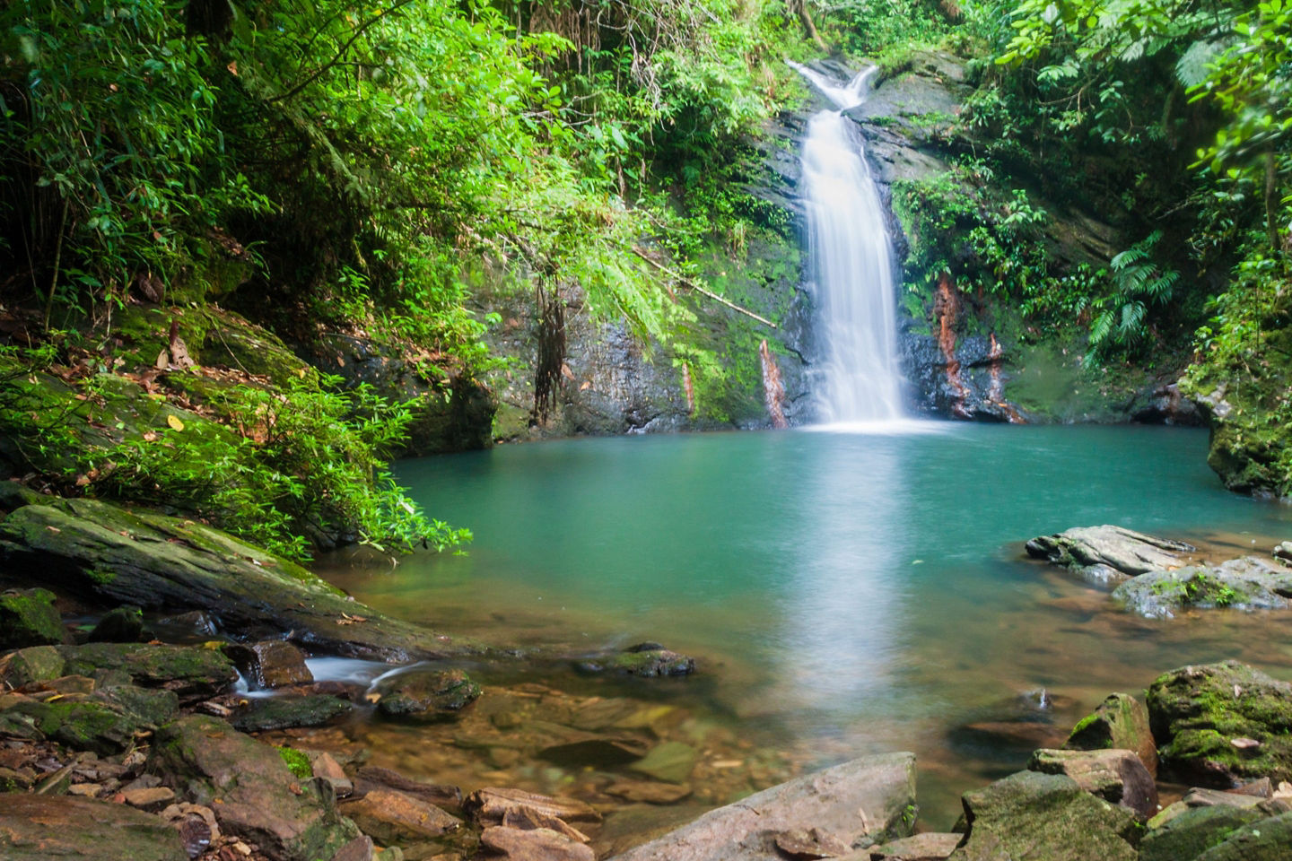 Tiger Fern Waterfall cascades into a clear jungle pool inside Belize’s Cockscomb Basin Wildlife Sanctuary. - Belize City, Belize