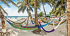 Hammocks between palm trees on sandy beach in Caye Caulker. Belize.