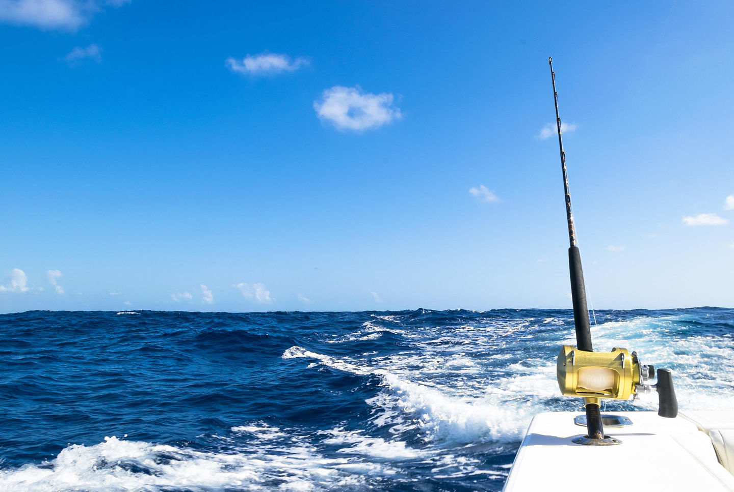 Fishing rod rests above clear Bimini water, ready for a calm day on the flats. - Bimini, Bahamas