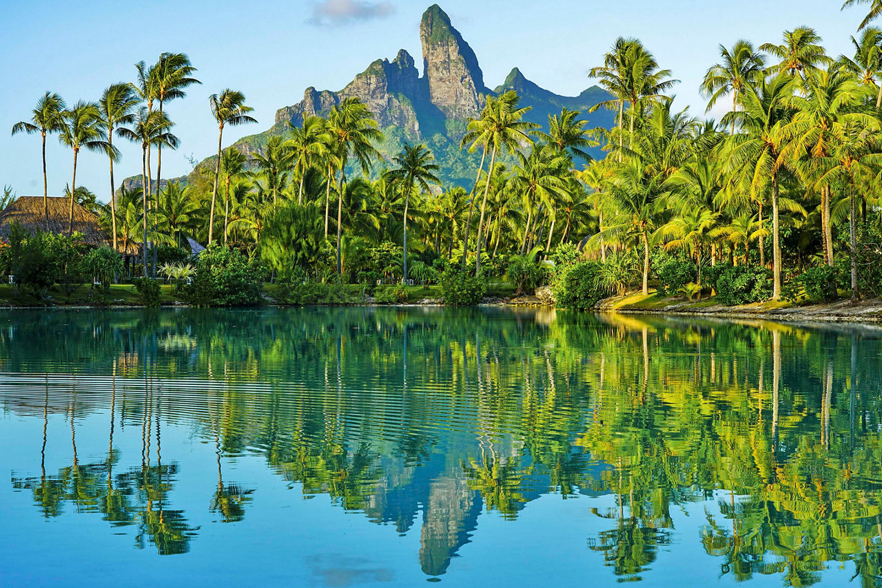 Palm Trees over Crystal Clear Water, Bora Bora, French Polynesia 