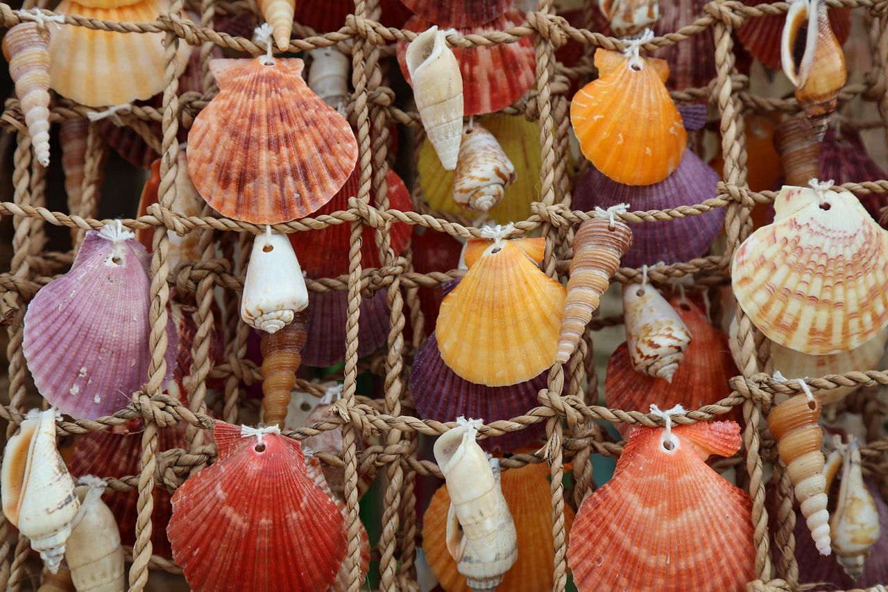 Sea shells found in markets while shopping in Boracay, Phillippines