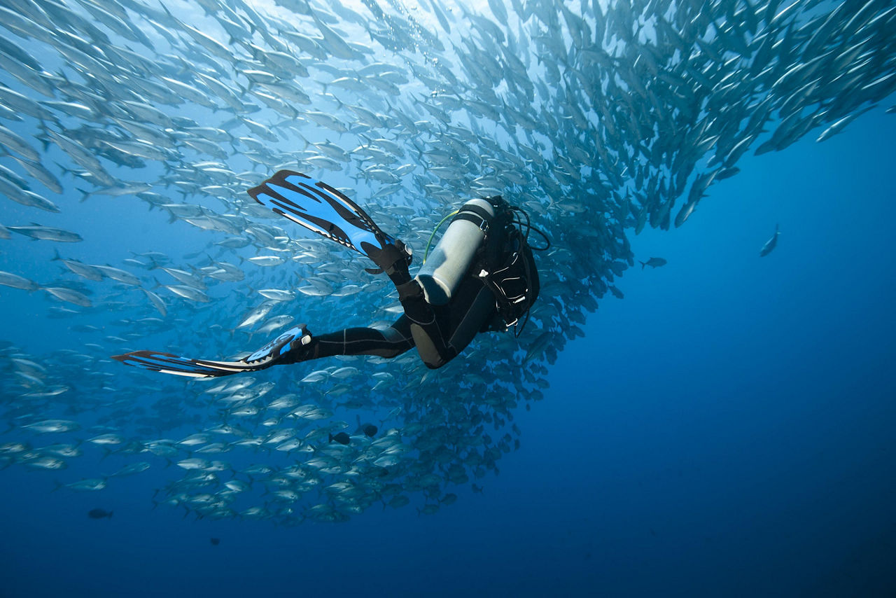 A diver underwater swimming with fish in Boracay, Phillippines