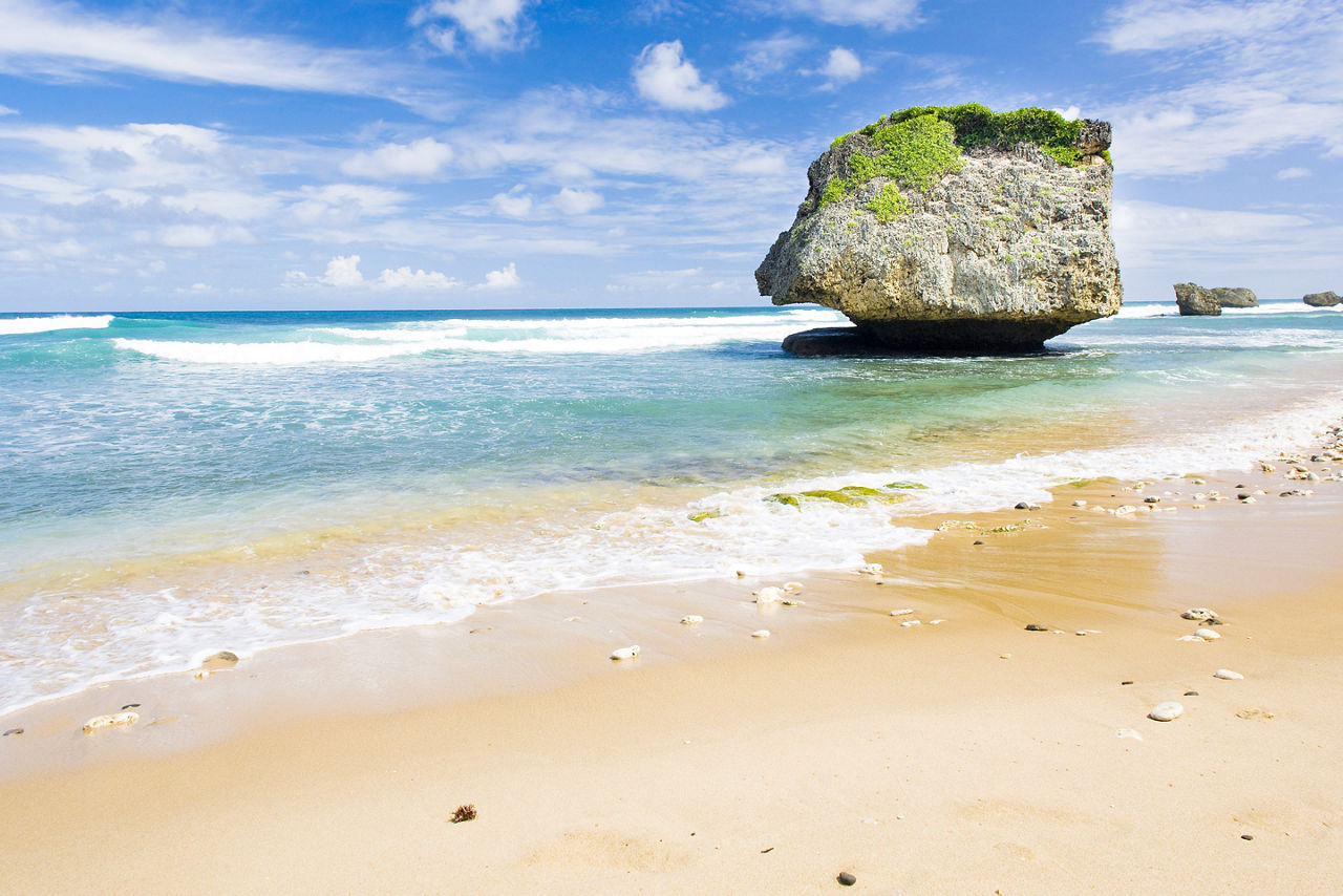 Explore as dez melhores coisas para saborear em Barbados - Visite