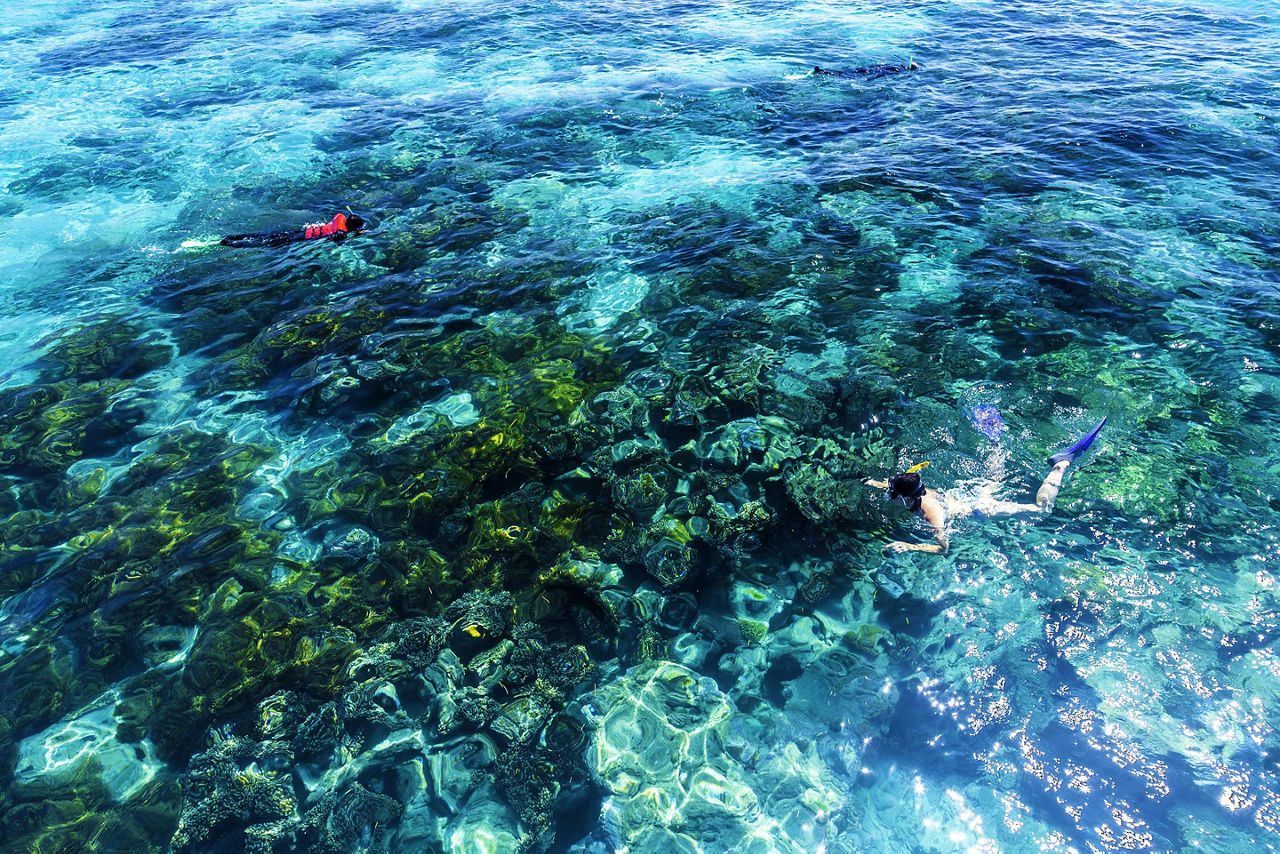 Cairns, Australia, Snorkeling the Great Barrier Reef