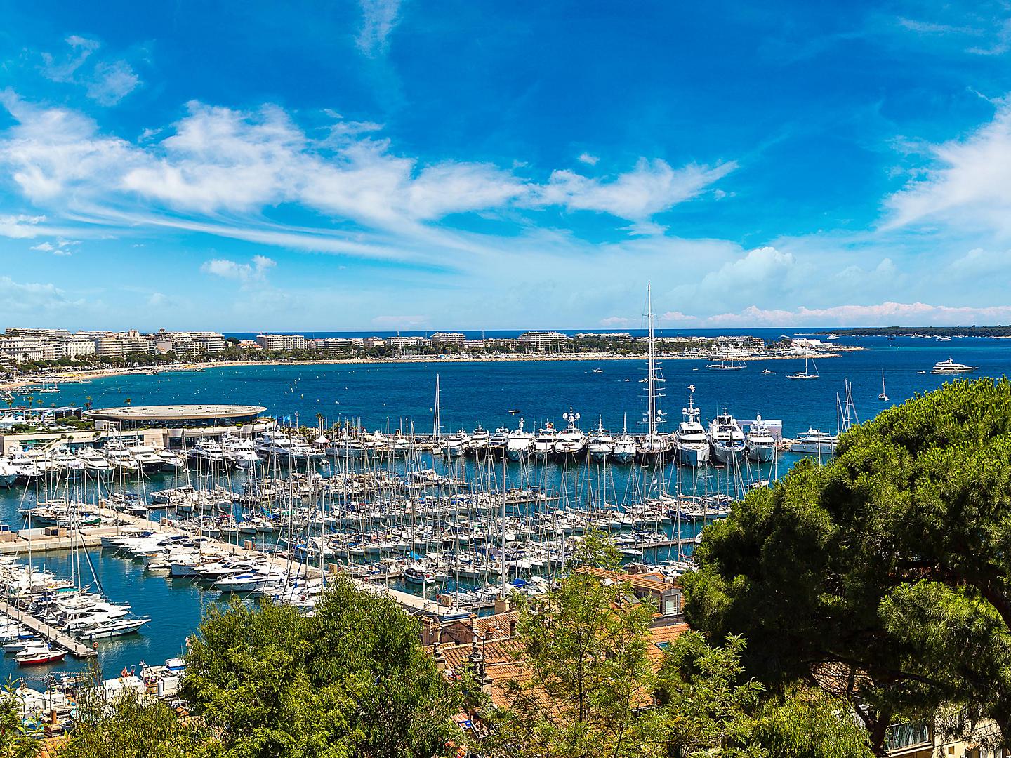 Aerial View of Harbor, Cannes, France 