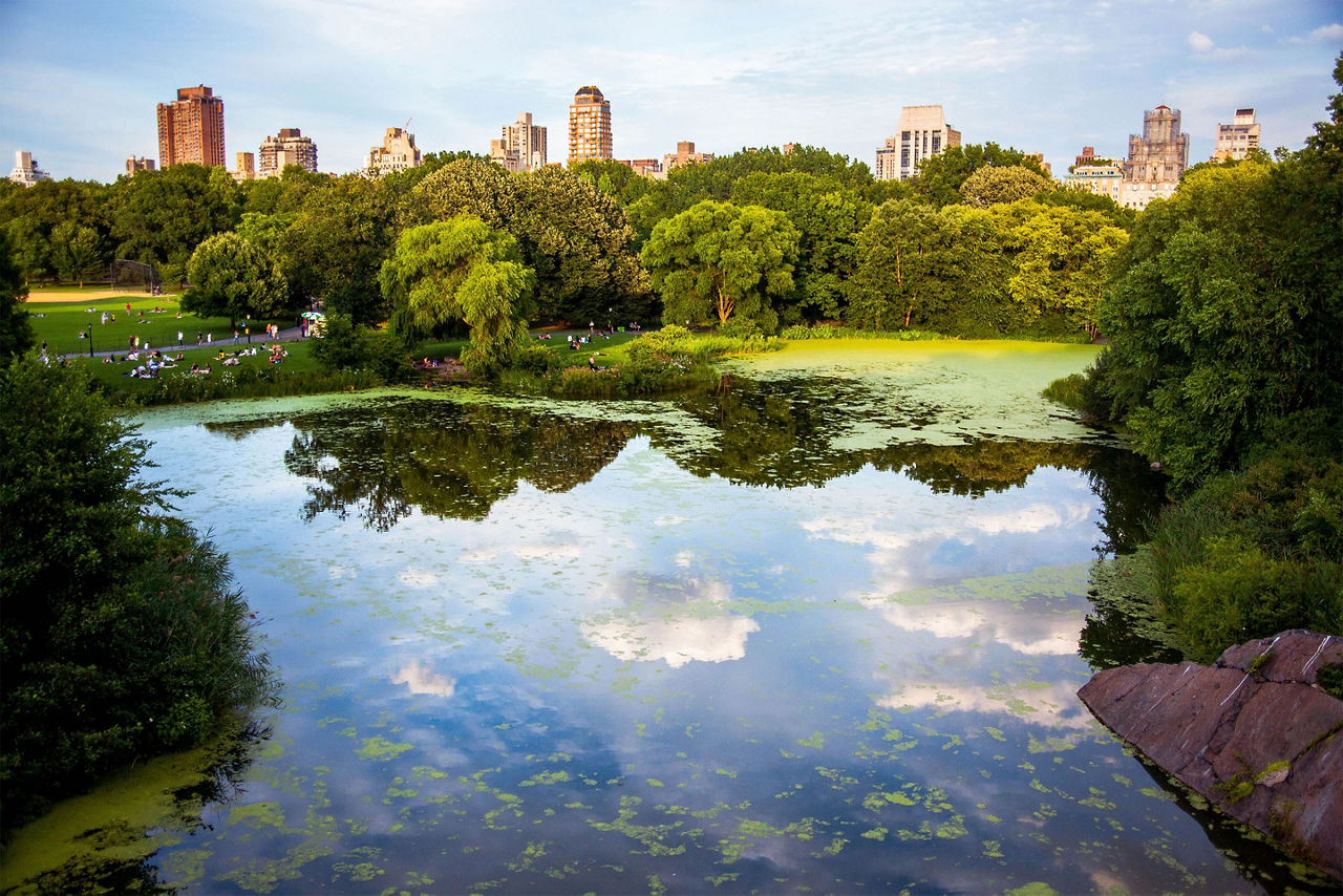 Central Park Water People, Cape Liberty, New Jersey