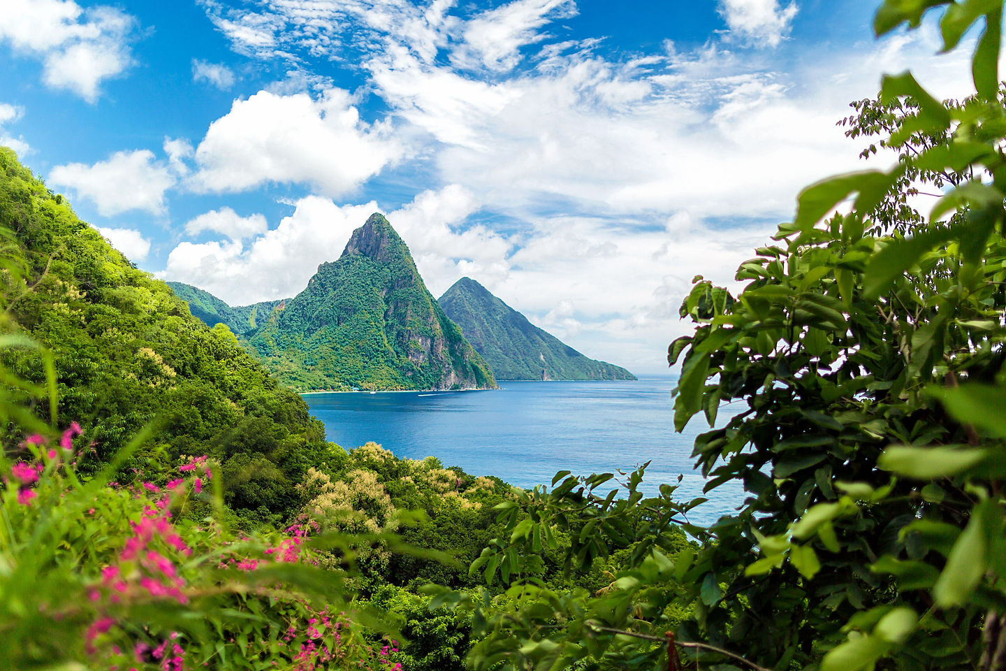 Lush St. Lucia rainforest rises toward the Pitons under bright sky. - Castries, St. Lucia
