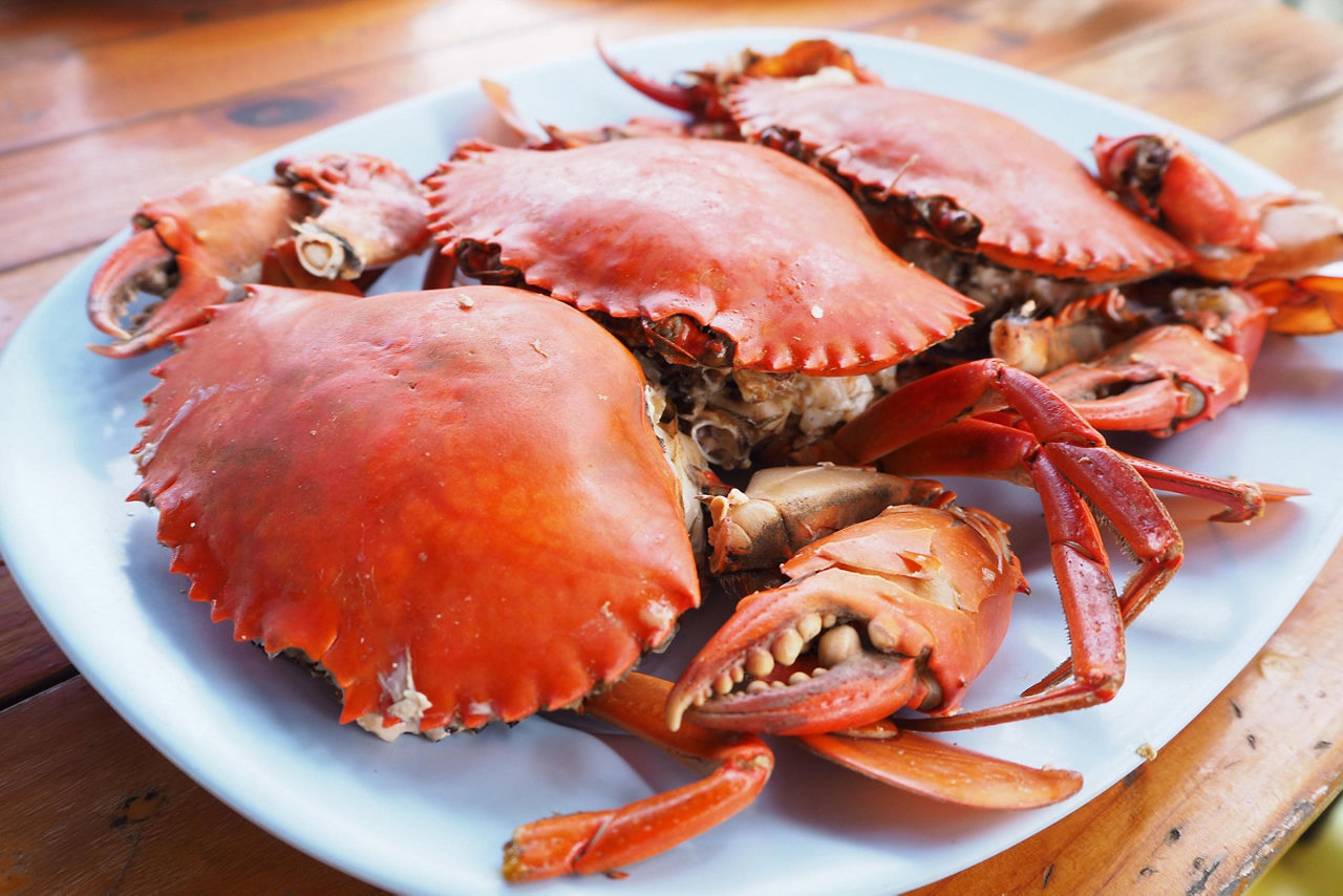 Steamed crabs on a plate