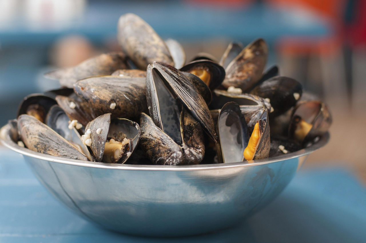 Mussels in an aluminum bowl