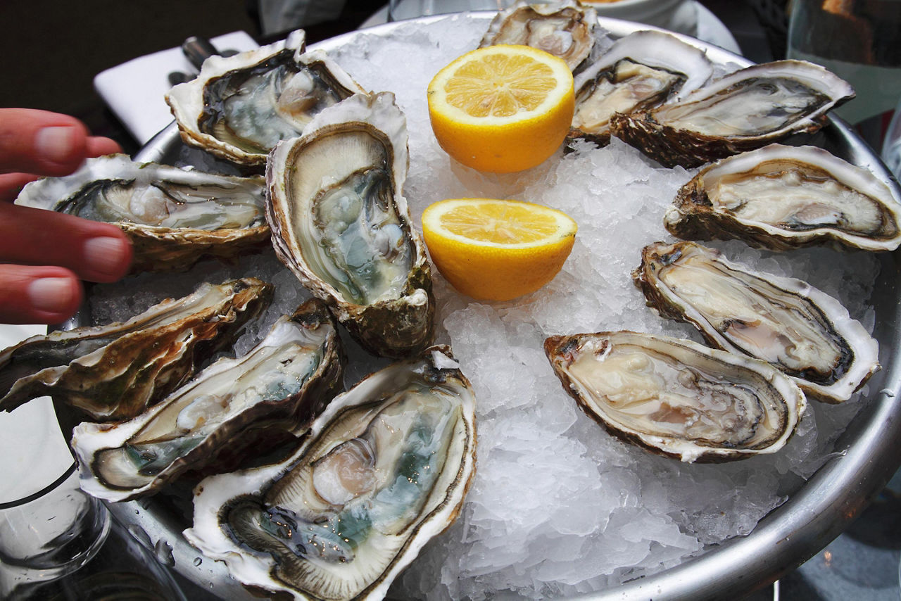 A dozen oysters on ice with a sliced lemon
