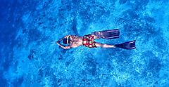 Mexico Cozumel Man Snorkeling Underwater