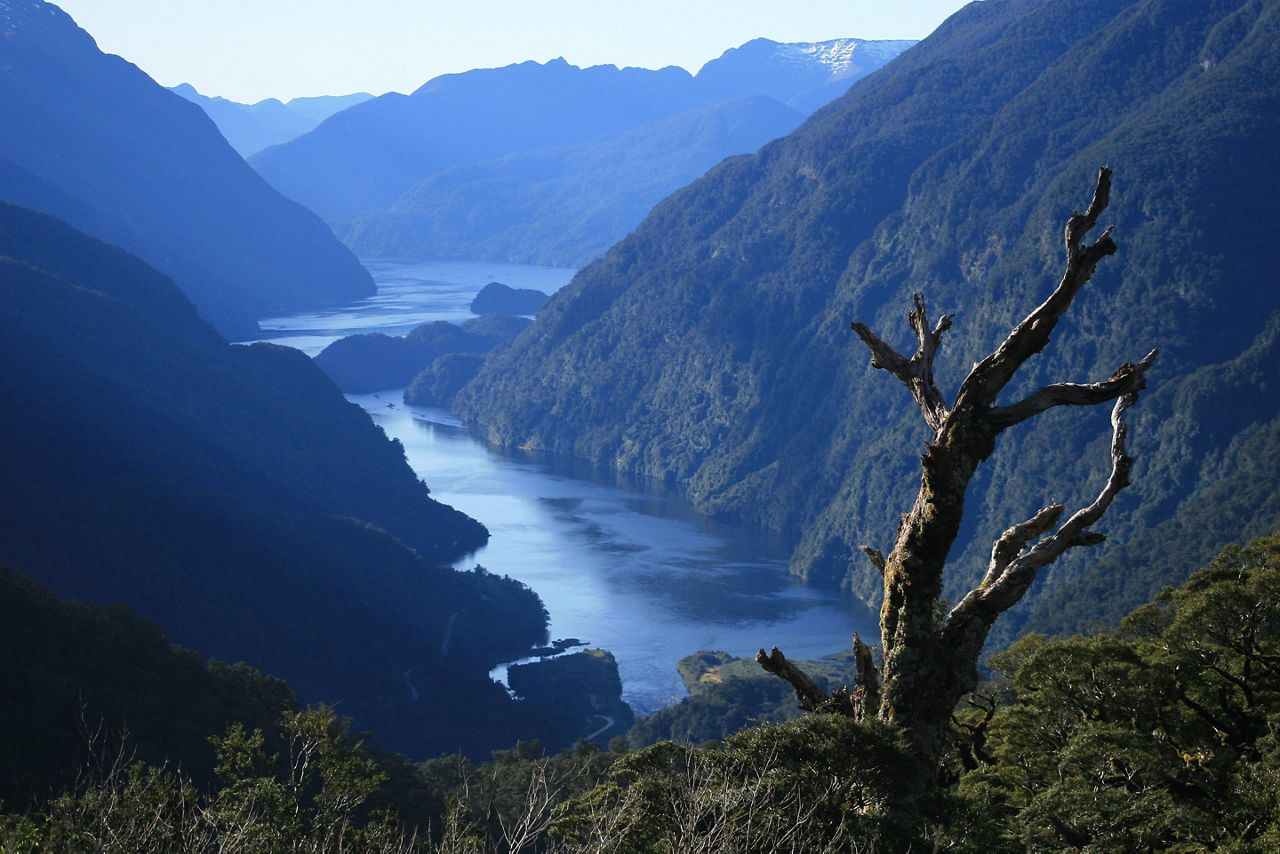 Doubtful Sound, New Zealand View Nature 