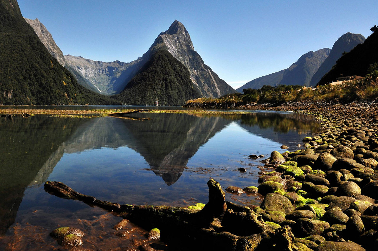 The Fiordland Park with views of the water in Doubtful Sound, New Zealand