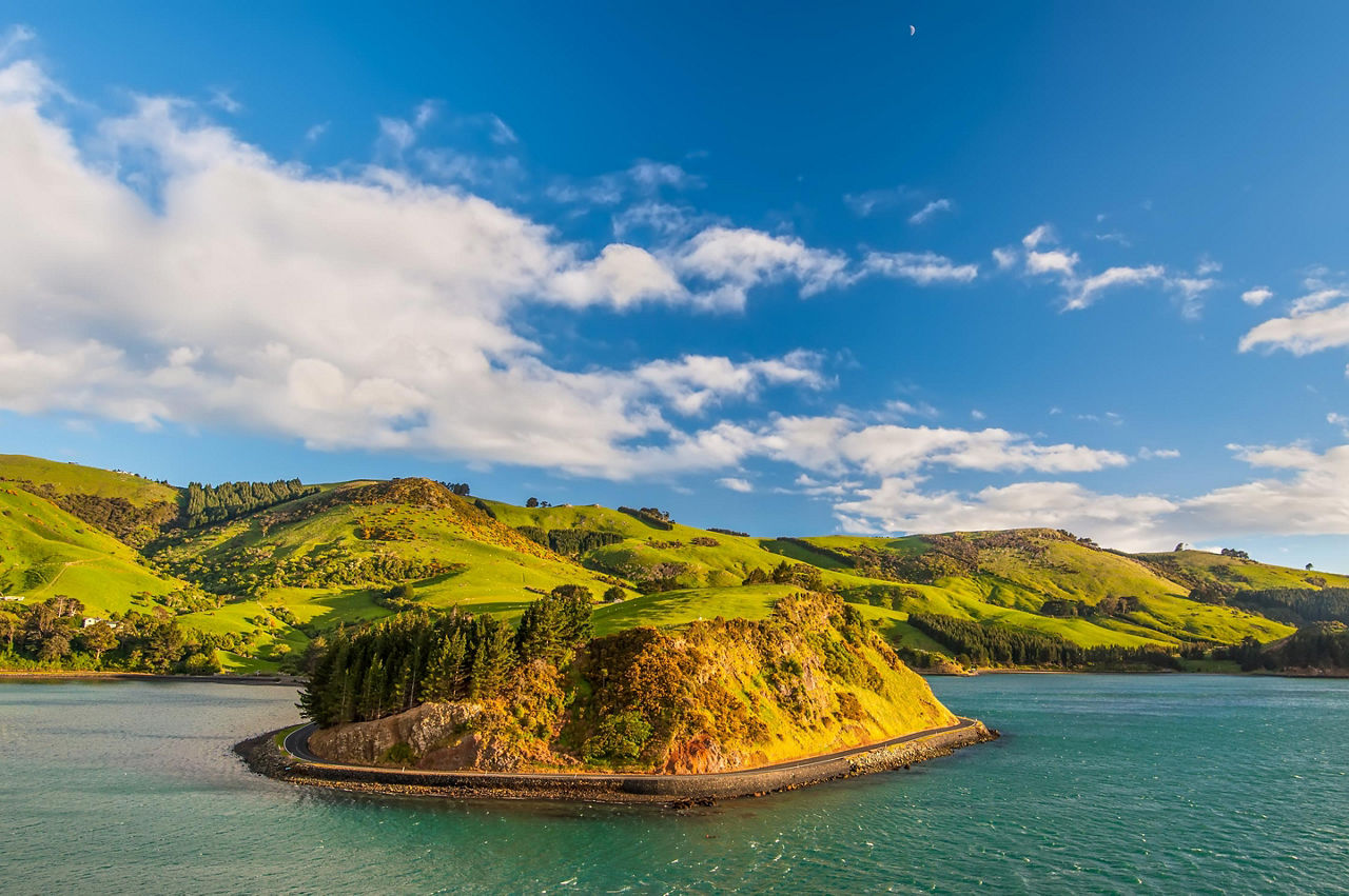 Dunedin, New Zealand Coastal Landscape