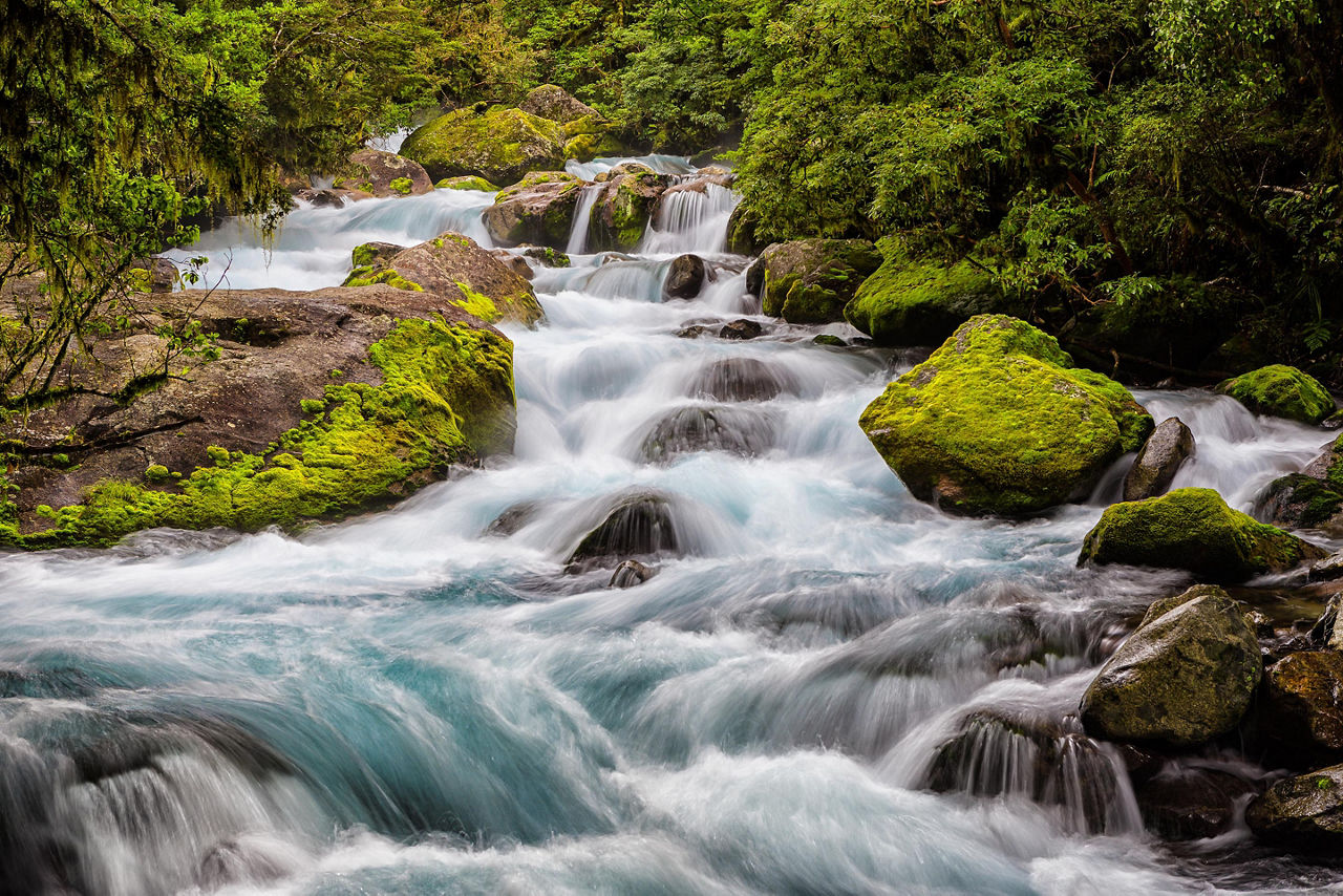 Close view of the stream that flows from Lake Marian to the Hollyford River in Fiorland National Park, New Zealand