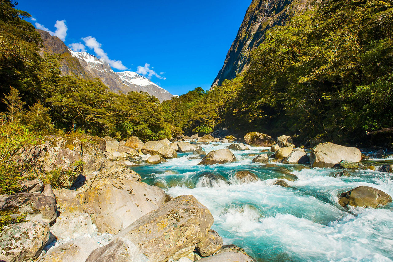 Dusky Sound, New Zealand Turquoise Creek