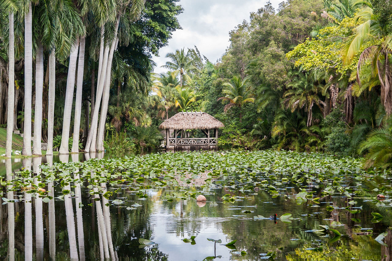Bonnet House slough in gardens of museum estate in Fort Lauderdale, Florida