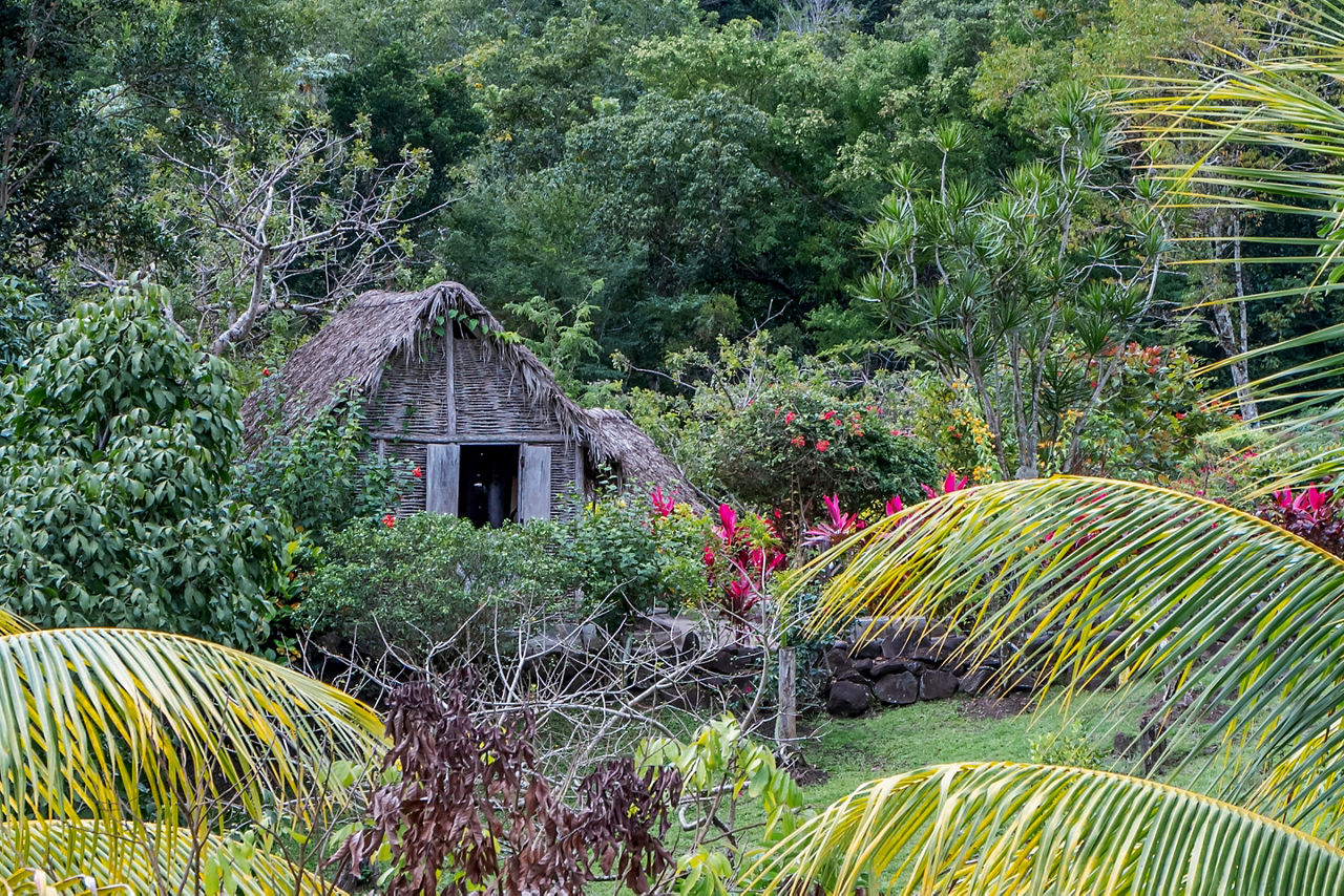 la savane des esclaves martinique