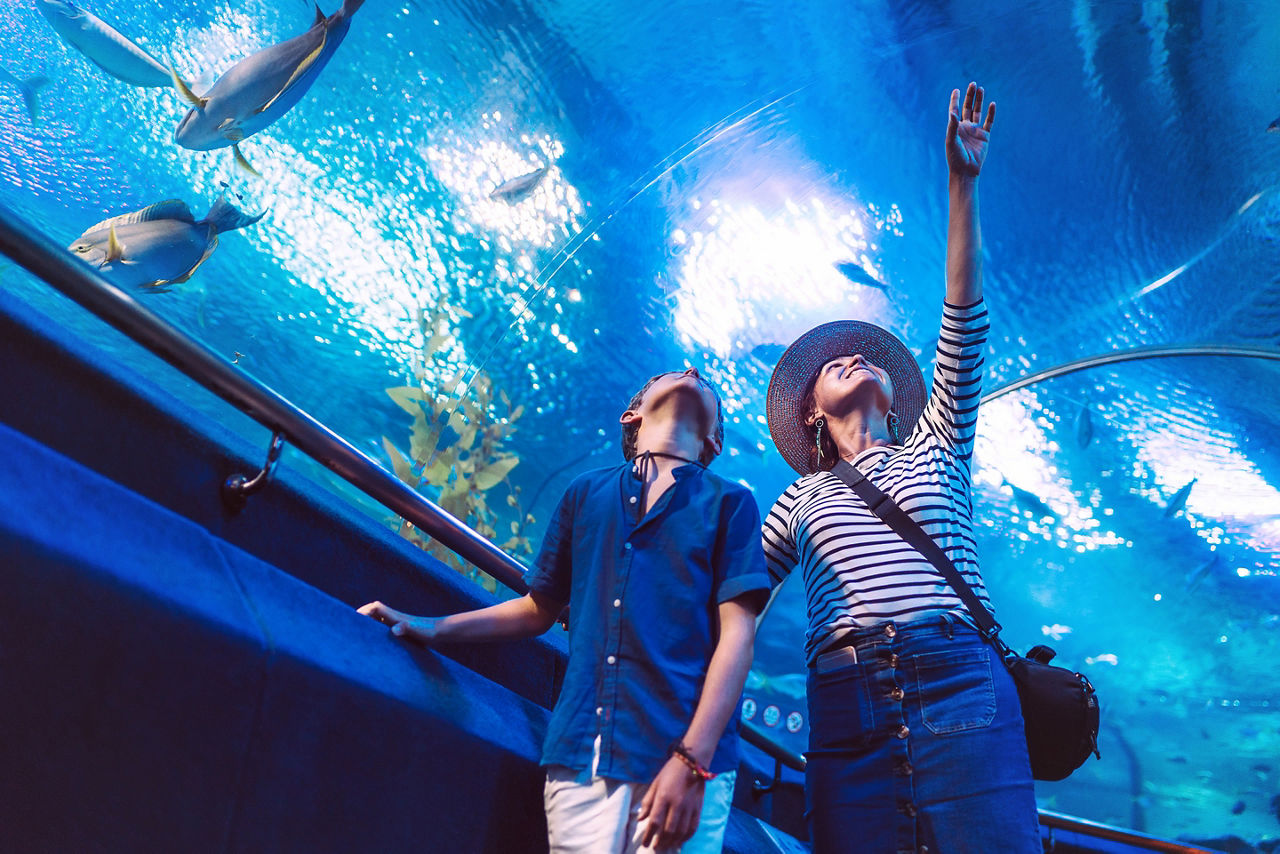 Son with his Mother watching underwater sea inhabitants in huge aquarium tunnel