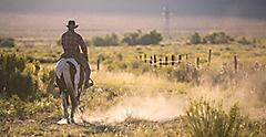 Texas rancher riding a horse over the mountains. Galveston