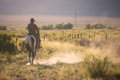 texas rancher riding horse over mountains galveston