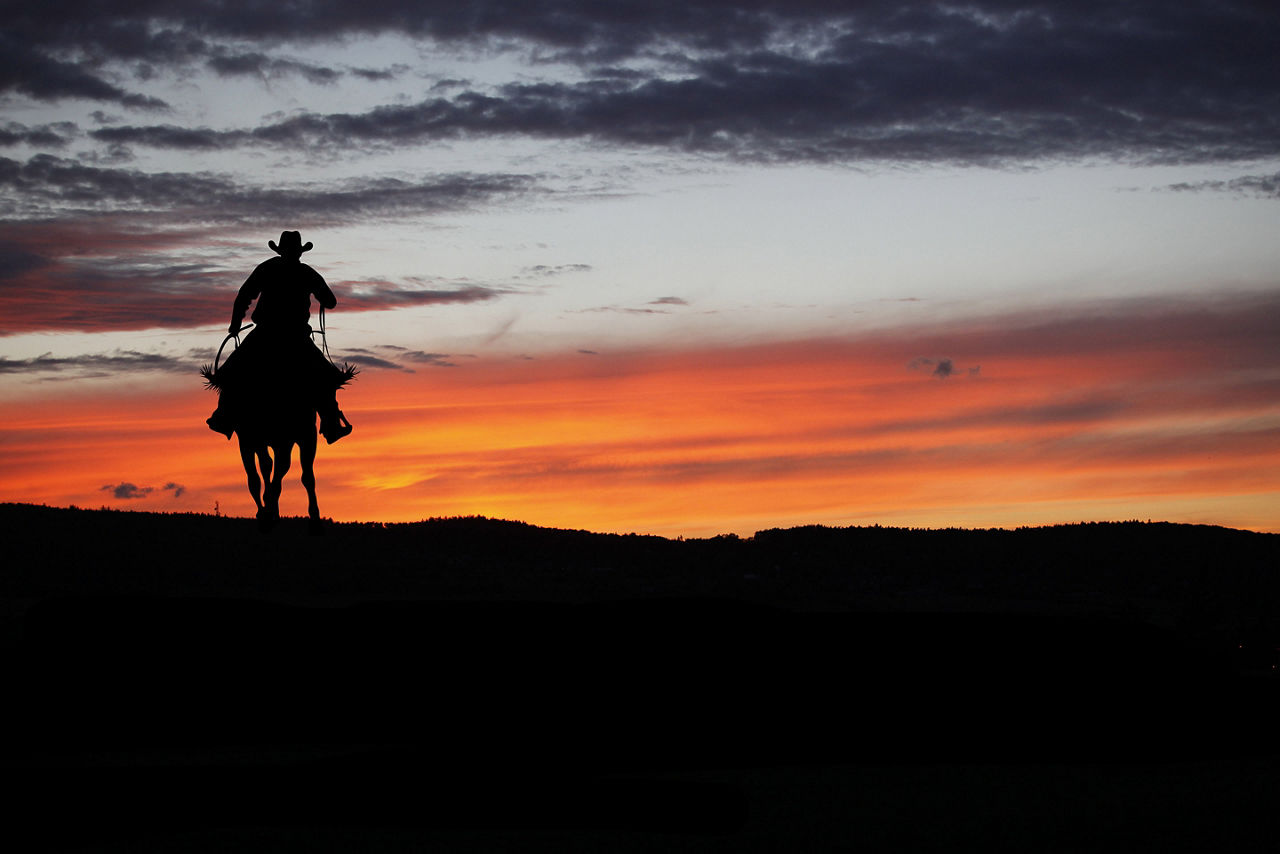 Texas rancher silhouette on a horse during sunset. Galveston