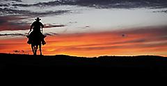 Texas rancher silhouette on a horse during sunset. Galveston
