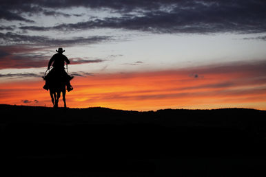 texas rancher silhouette horse during sunset galveston