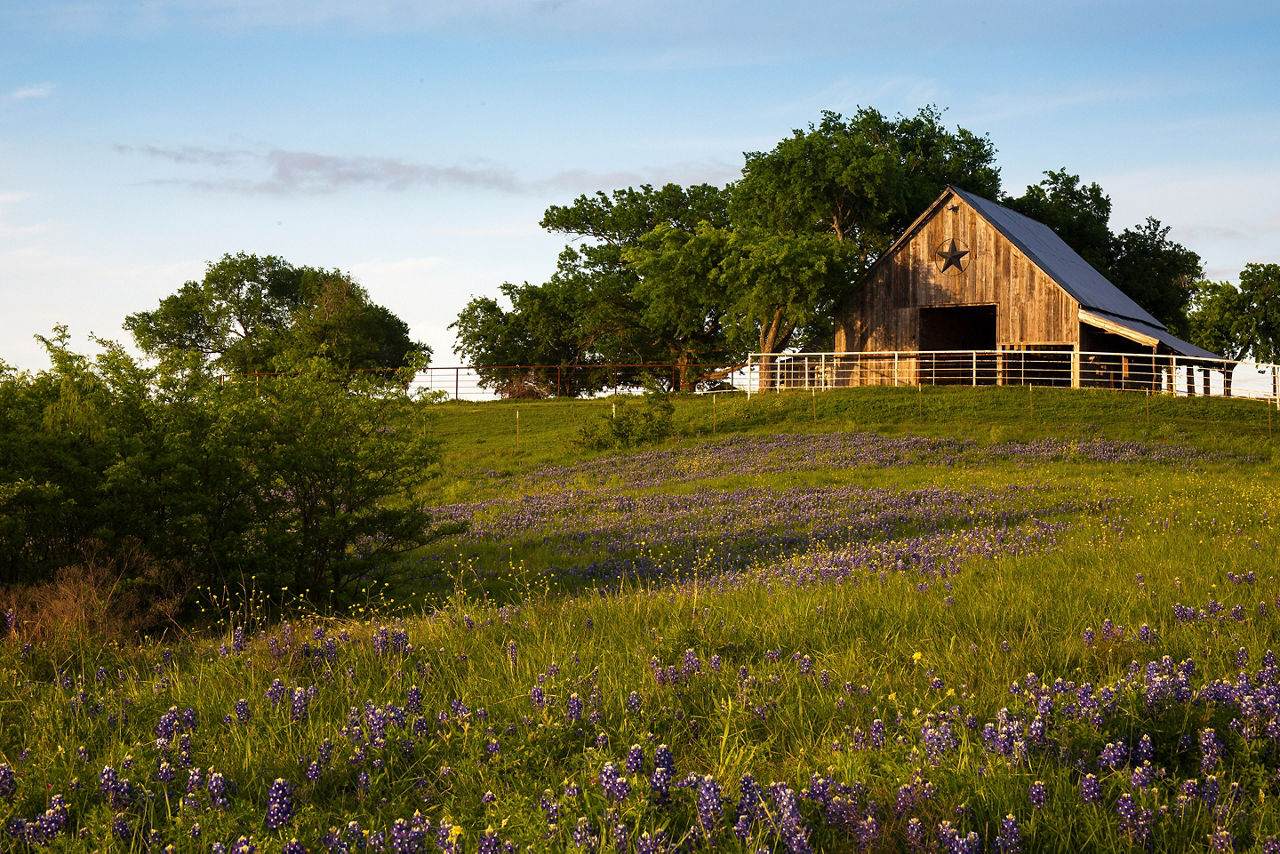 Texas wooden barn for ranching