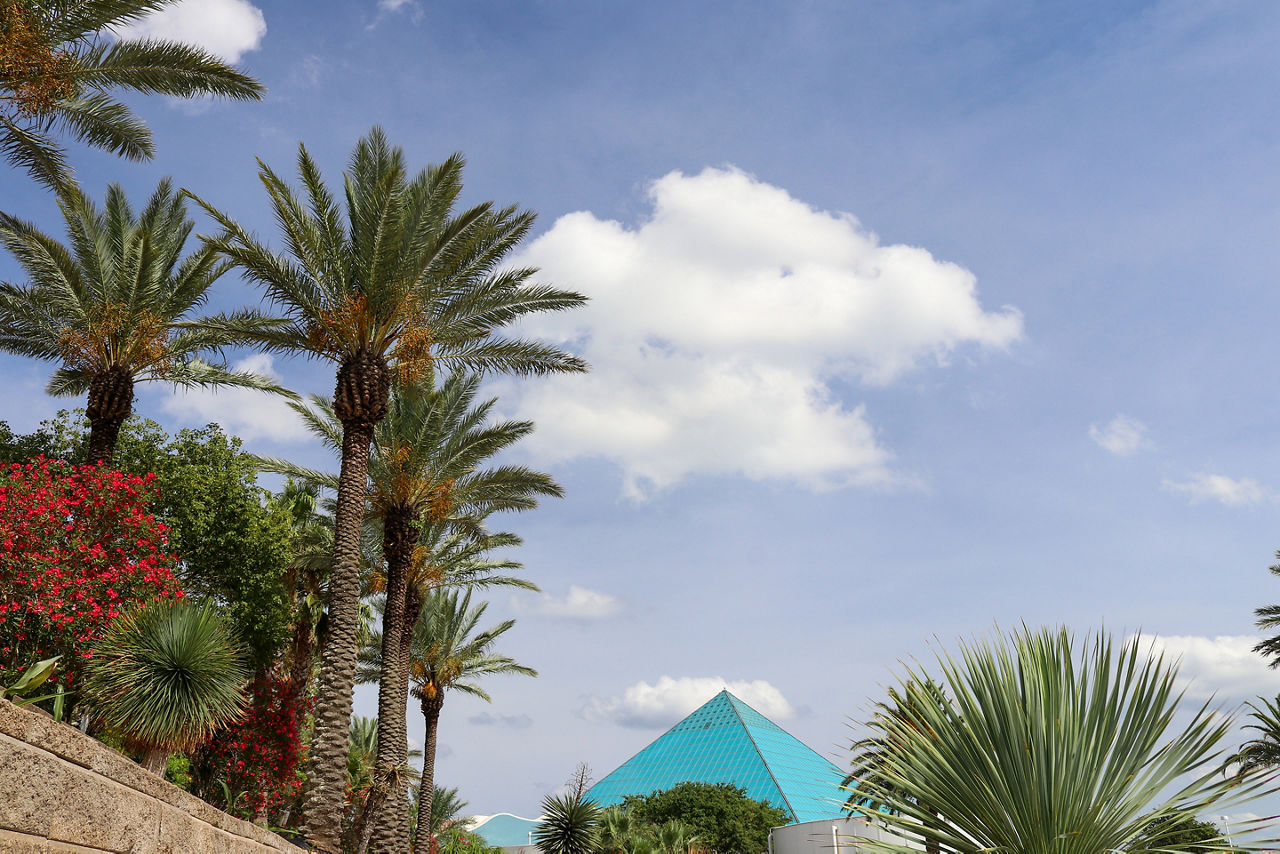 Tropical gardens with palm trees and the Aquarium Pyramid. Galveston, Texas.