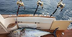 Tuna caught on Galveston fishing trip. Texas.