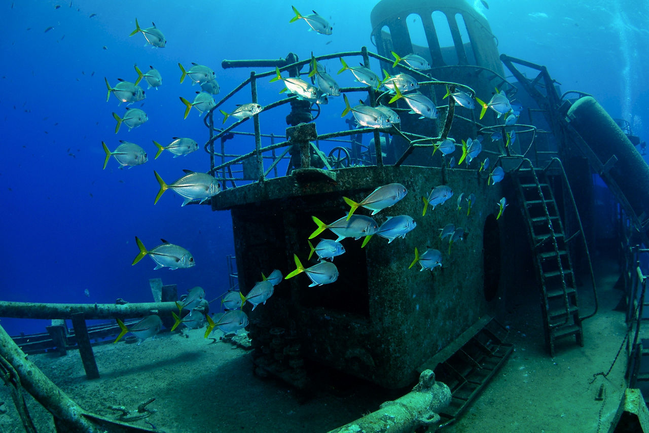 USS Kittiwake Snorkel Dive, George Town, Grand Cayman